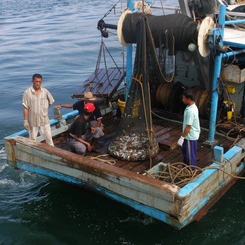 TEDs Sandakan Jun 07 – 156