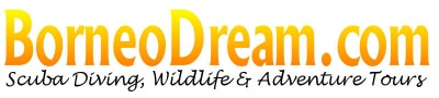 Borneo Dream